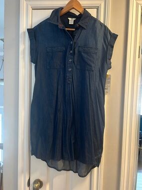 Madewell Indigo Denim Dress
